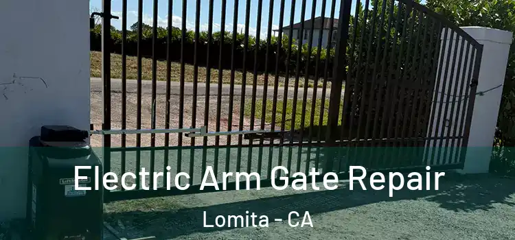 Electric Arm Gate Repair Lomita - CA