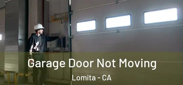  Garage Door Not Moving Lomita - CA