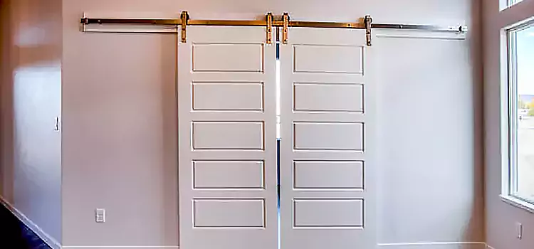 Glass Barn Door with Installation Hardware Kit Lomita