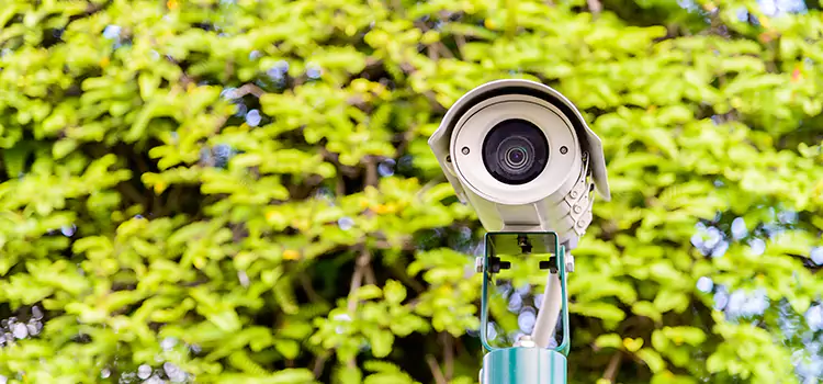 Advanced Surveillance Solutions for Every Need in Lomita