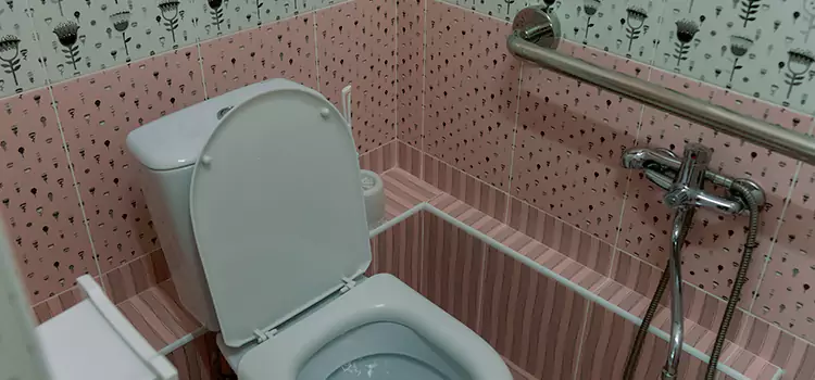 Meeting Diverse Needs With Accessible Restroom Solutions in Lomita, CA