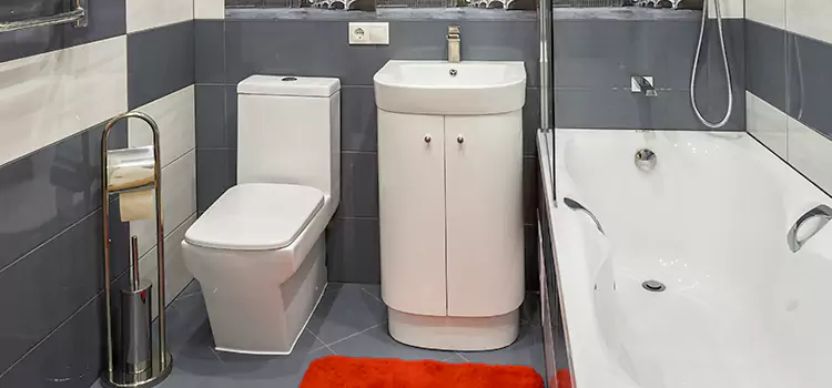 Hansgrohe Shaving Mirror Lomita