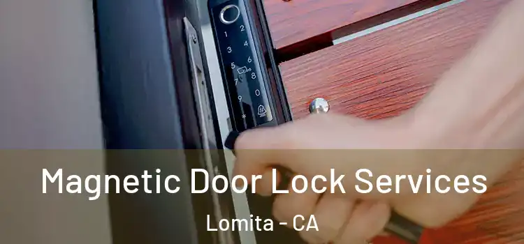 Magnetic Door Lock Services Lomita - CA