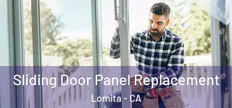 Sliding Door Panel Replacement Lomita - CA